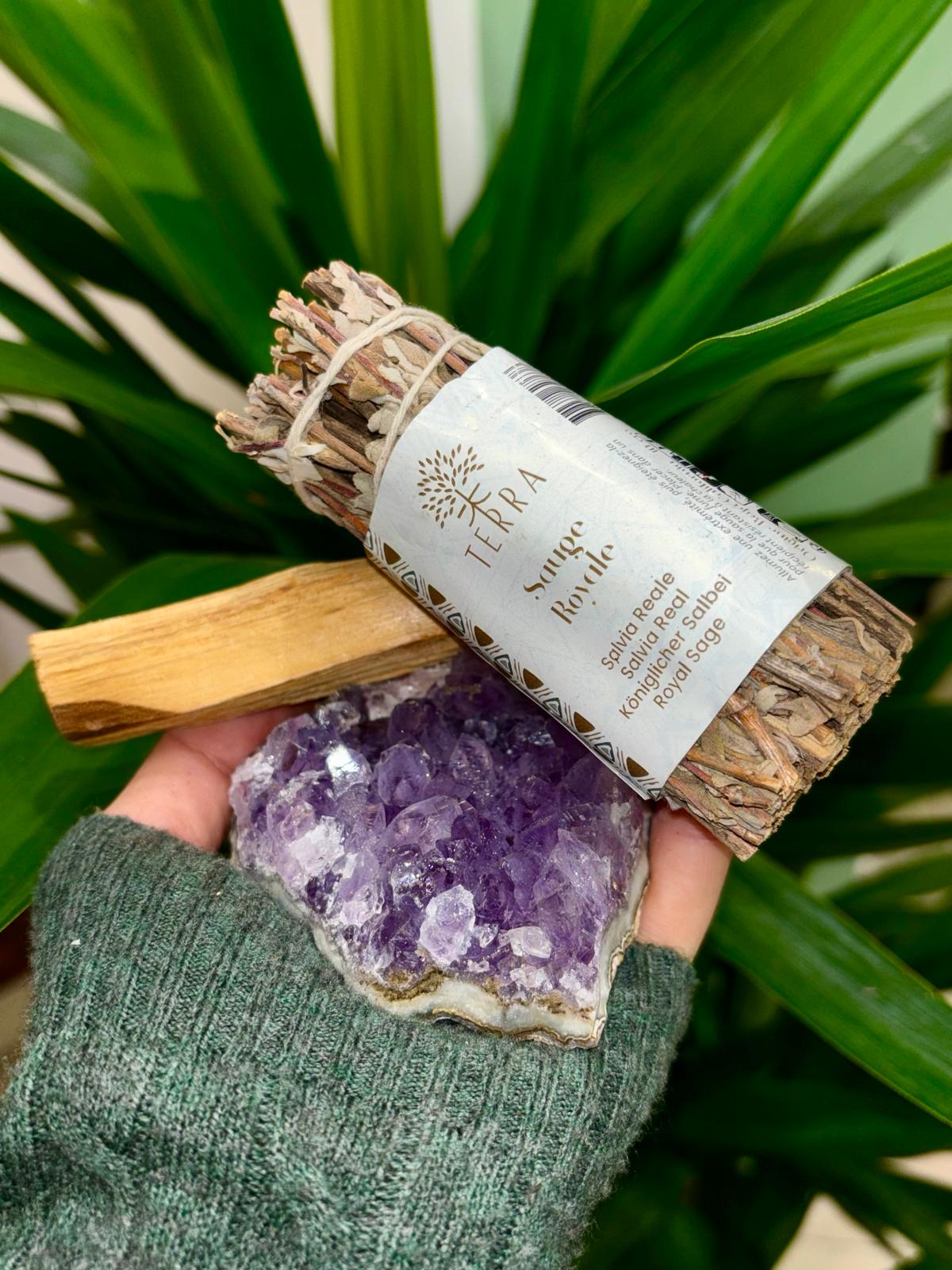 WhatsApp-Image-2024-11-27-at-08.29.35