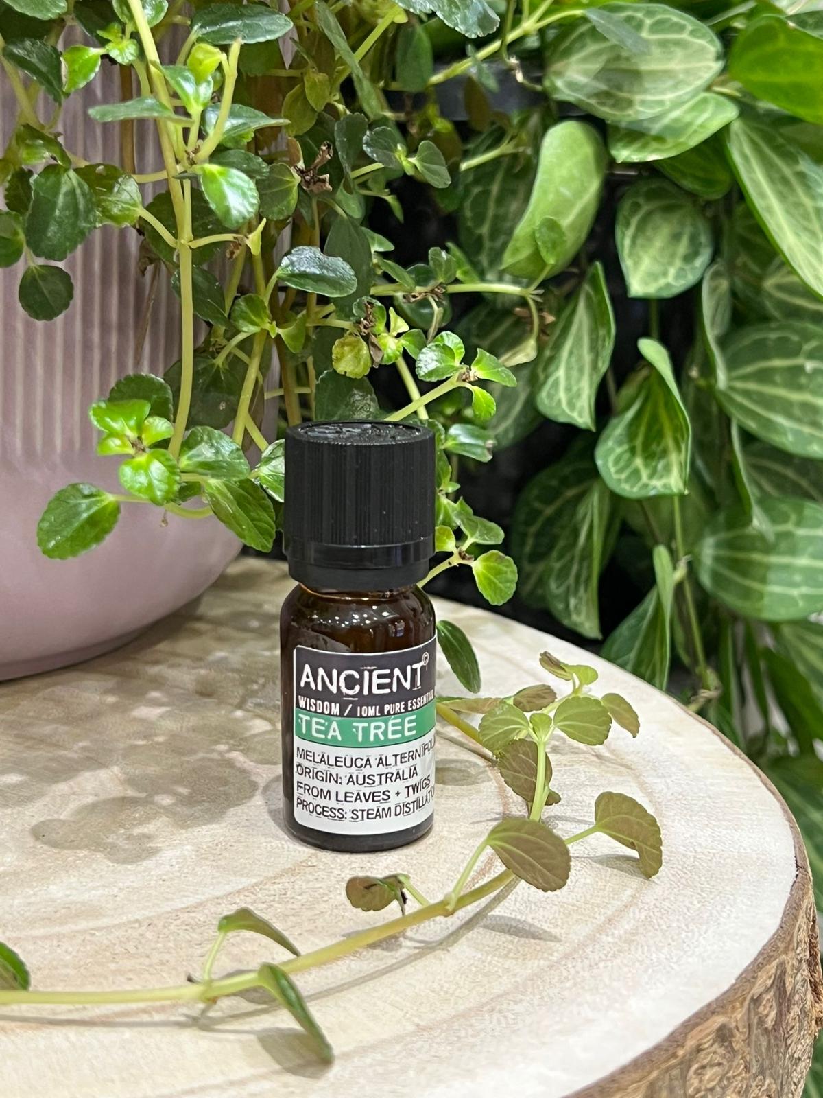 WhatsApp-Image-2024-11-28-at-13.12.11-1